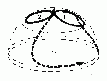 f13.gif (1887 bytes)